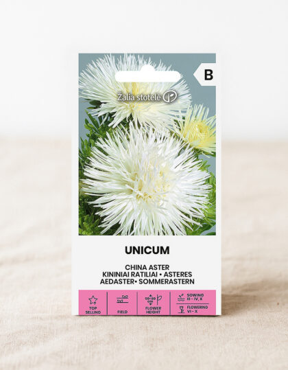 Kiinalaisen puutarha-asterin siemenet 'Unicum' valkoinen