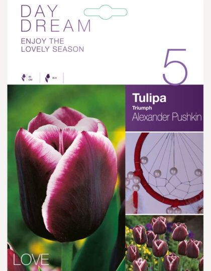 Tulppaanin sipulit ‘Alexander Pushkin’ 5 kpl